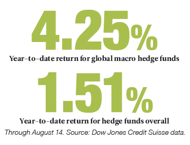 Year-to-date return for global macro hedge funds