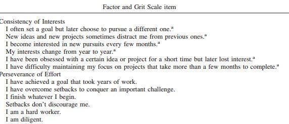 The Grit Scale