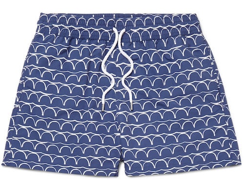 Sensual Swim Trunks