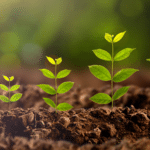 IMP+ACT Alliance Classifies ESG Impact Of Funds