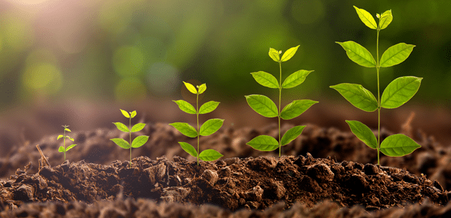 Sustainable Bond Issuance Expected to Rise 10%