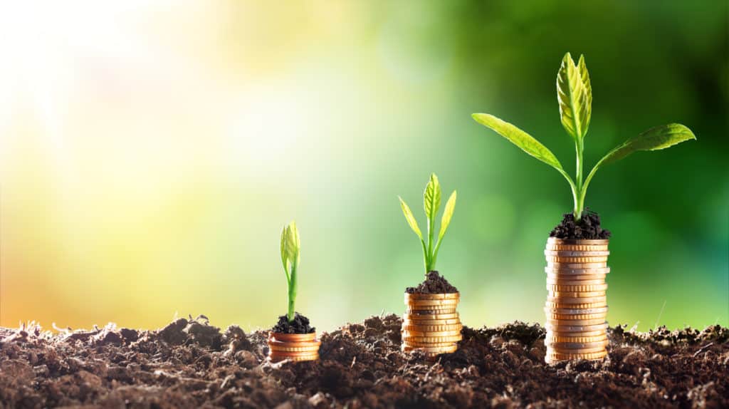 Sustainable Funds Gain Popularity In US