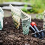 ‘Green Chip’ Stocks Will Emerge