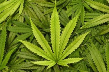 CANNABIS CORNER: House Expected to Pass SAFE Act