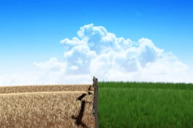 Buy-Side Goal: Upgrade Technology