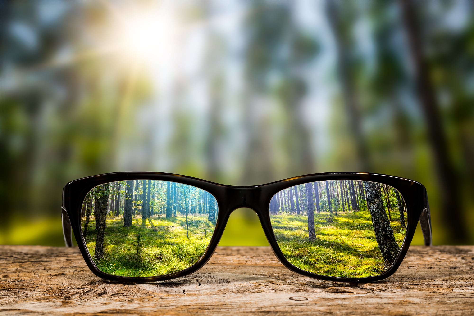 Euronext Launches Sustainable Network – Markets Media